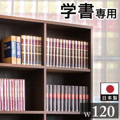 ふるさと納税 海南市 本棚 幅120 日本製 sb40229