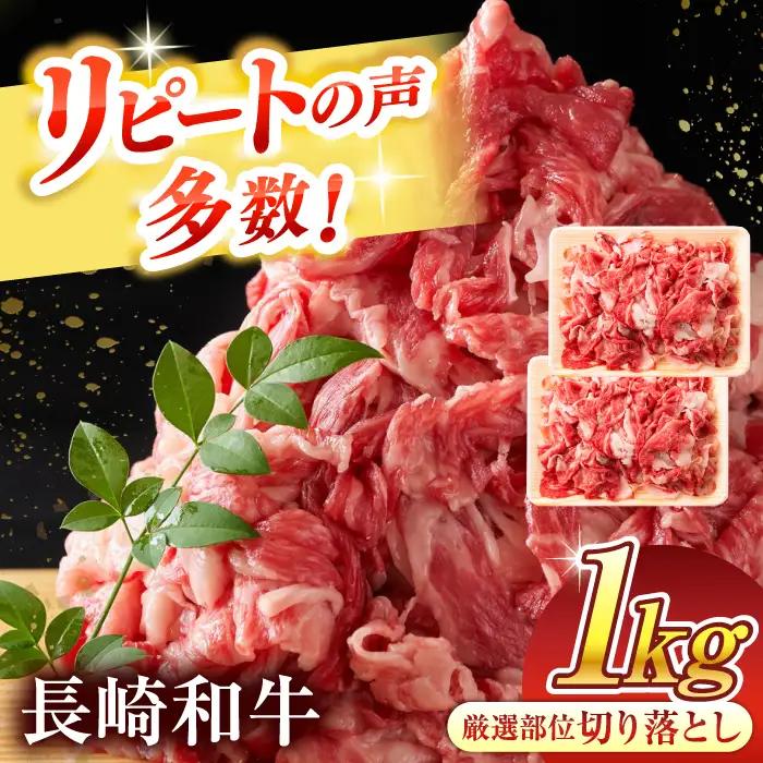 牛肉切り落とし 1kg【期間限定寄附額】 長崎和牛  国産 冷凍 おすすめ 牛肉切り落とし QBS006