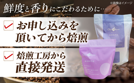 コーヒー豆 スペシャルティコーヒー おすすめ1種 250g 珈琲 コーヒー豆 コーヒー粉 コーヒー ドリップ ドリップ珈琲 飲料 愛媛県大洲市/株式会社日珈[AGCU025]