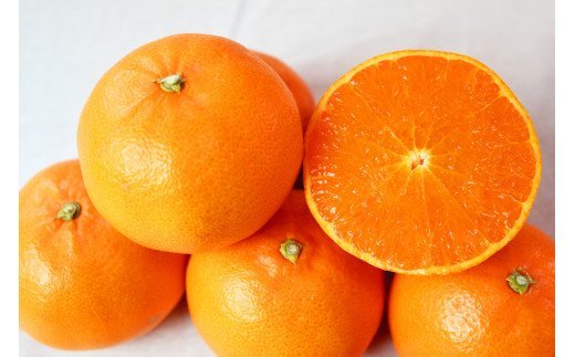 【ご家庭用訳あり】紀州和歌山産　せとか　約５ｋｇ 2027年2月中旬頃〜3月中旬頃発送　【先行予約】【みかん】 【uot748】