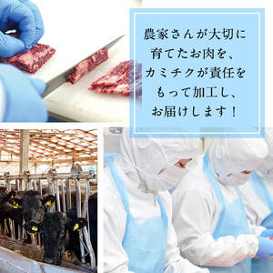 【鹿児島県産】徳重さんのA5黒毛和牛ヒレステーキ2種盛(計480g) b6-015