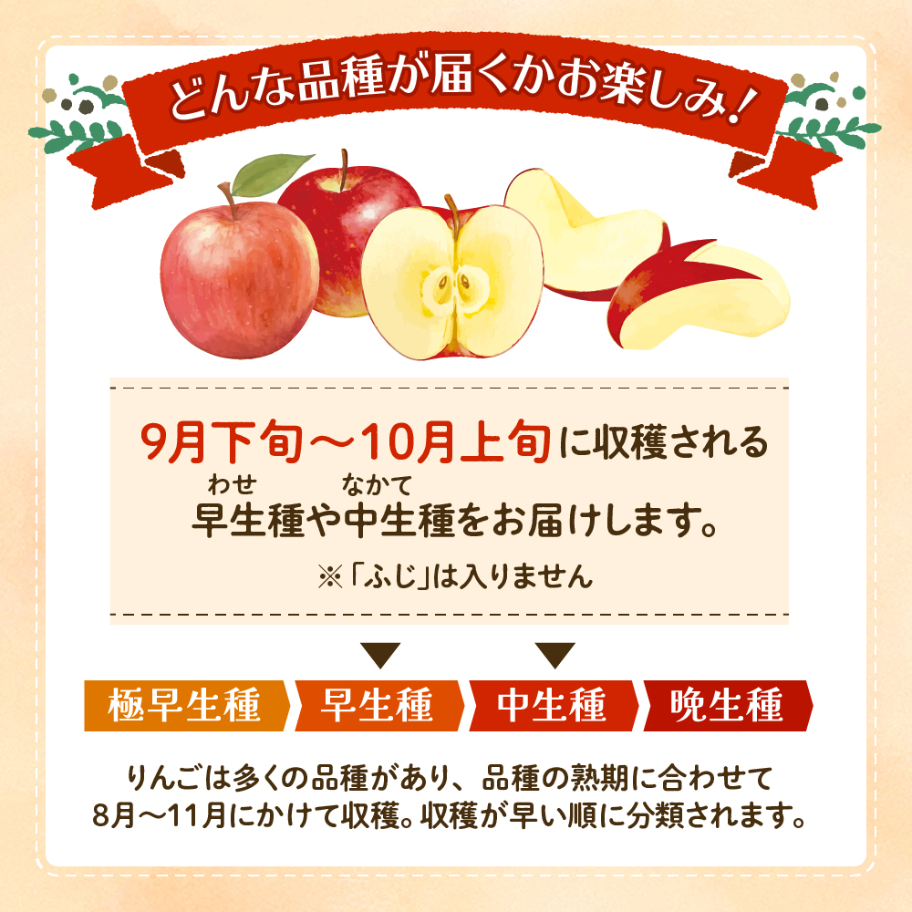 【2026年産】 りんご(品種おまかせ) 10kg よってけポポラ提供 hi003-165
