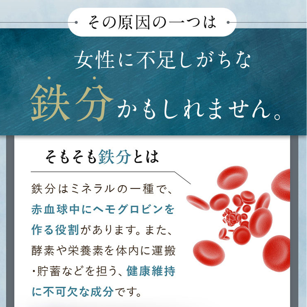 サジージュース 100% 1000ml×1本 サジー シーベリー 沙棘 グアマラル 健康ドリンク 健康 美容 栄養 果汁 鉄分補給 栄養補給 健康食品_DX02