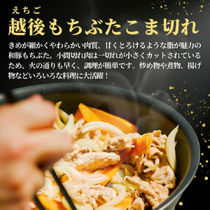 豚肉 越後もちぶた こま切れ肉 1.5kg (300g×5パック) | 豚肉 新潟県