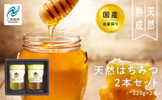 自家採り国産天然はちみつ 2本セット(220g×2) 蜂蜜 はちみつ ハチミツ 国産 百花蜜 アカシヤ ハニー 天然 無添加 おすすめ お中元 お歳暮 ギフト 二本松市 ふくしま 福島県 送料無料 【株式会社渡辺養蜂場】