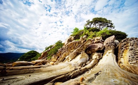 【返礼品なしの応援①】高知県土佐清水市【R00001】