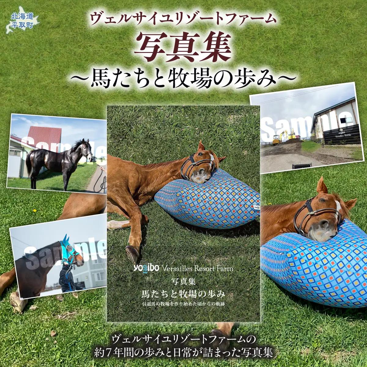 【ヴェルサイユリゾートファーム】写真集〜馬たちと牧場の歩み〜 BRTV482
