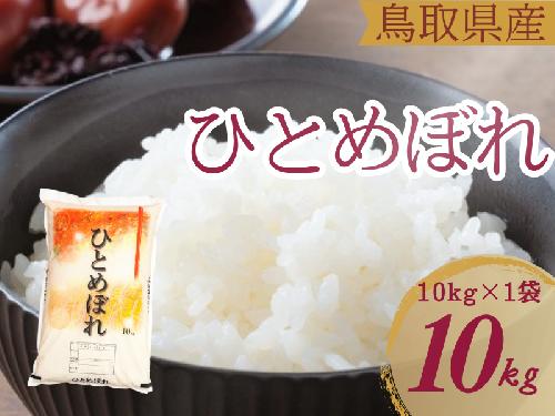 米 ひとめぼれ 10kg 鳥取県産 こめ 精米 10キロ 令和8年産 送料無料 1054