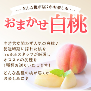 ≪先行受付≫ froSchがお届けするおまかせ白桃 約2kg 【2025年7月下旬より順次発送予定】 060-001