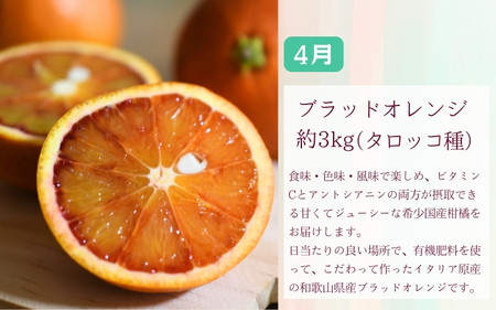 定期便全3回 【2月・3月・4月発送】 和歌山の春の柑橘 （ポンカン・はるか・ブラッドオレンジ）秀品【tec-tkb002】