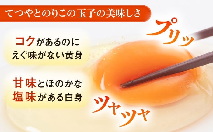 玉子 定期便 3回 たまご 卵 ミネラル 福岡