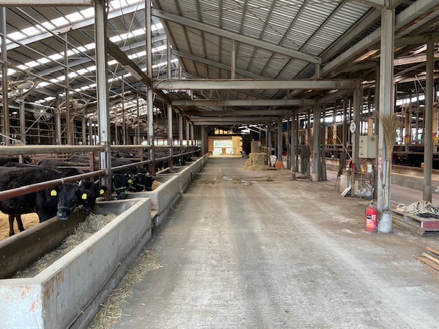 【高島屋選定品】＜お肉の専門店スギモト＞松阪牛焼肉用（ロース肉・バラ肉）TSY-208　ロース肉３００ｇ　バラ肉３００ｇ TSY-03-08