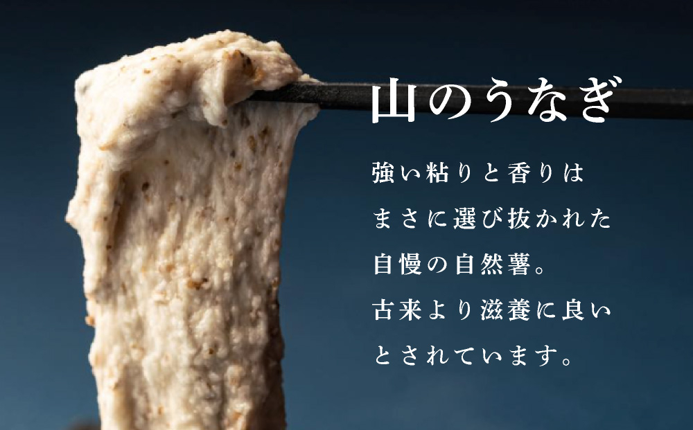 寄附額改定↓ 筥崎とろろ 自然薯のだしわりとろろ 計250g｜筥崎とろろ 自然薯 とろろ 出汁割り だしわりとろろ 九千部朱薯 福岡県 那珂川市 250g