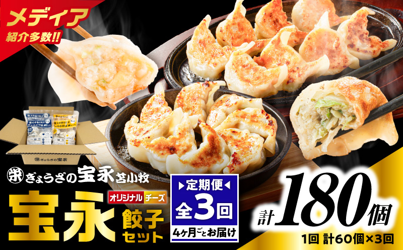 【全3回定期便（4ヶ月毎）】チーズ餃子セット（宝永餃子 15個入×2袋＆チーズ餃子 15個入×2袋）合計1.5kg　T004-T02-01