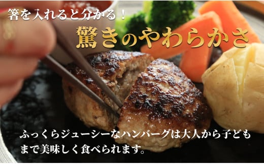 佐賀の肉汁ハンバーグ 150g×8個(1.2kg) 佐賀産豚肉×佐賀牛 佐