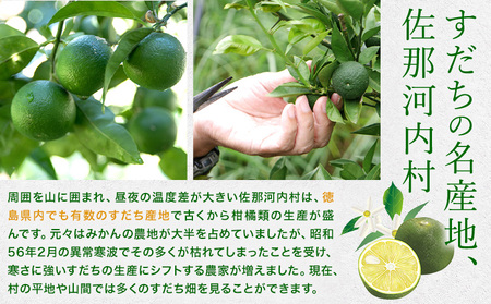 すだち微炭酸 30本│すだち  ジュース 