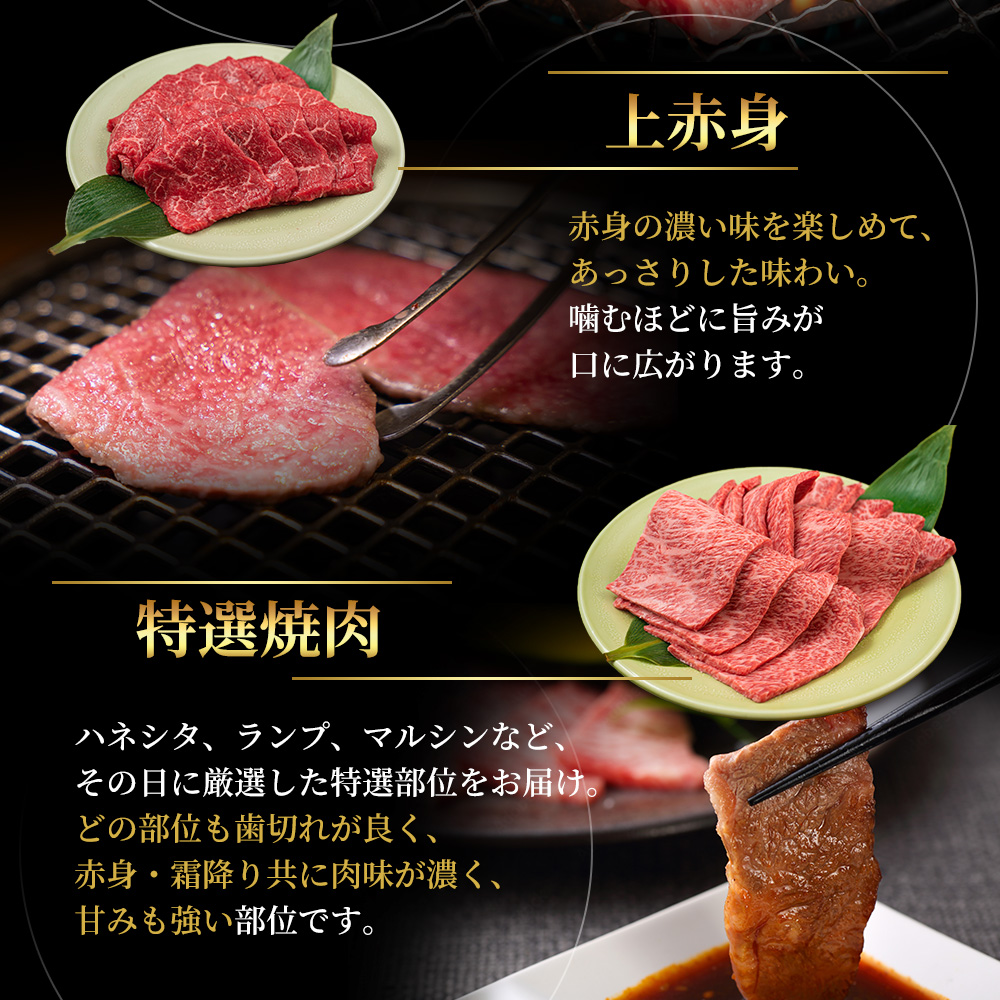 【最短7日以内発送】 神戸ビーフ 神戸牛 牝 極上焼肉 3種 食べ比べセット 計 900g 川岸畜産 焼肉 冷凍 肉 牛肉 すぐ届く お肉 和牛 食材 グルメ ブランド牛 日本産 国産 夕飯 晩御飯 
