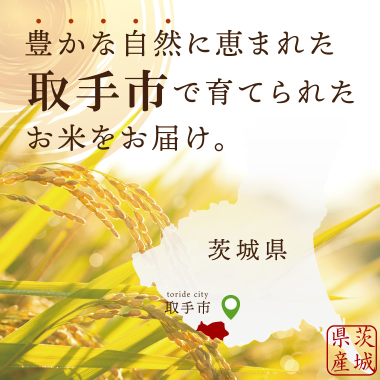 【数量限定】R7年産取手市産コシヒカリ 精米10kg（5kg×2袋）|お米 米 こしひかり コシヒカリ 新米 白米 茨城県 取手市（BS002）