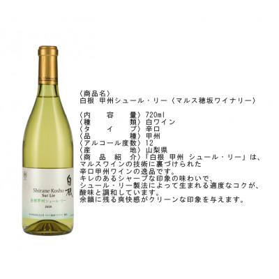 ふるさと納税 南アルプス市 南アルプス市産 甲州ワイン2本セット |  | 02