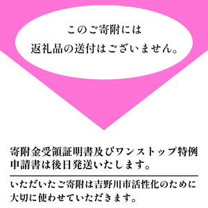 【 返礼品なし 300,000円  】 徳島県 吉野川市 への 寄附 応援寄附金
