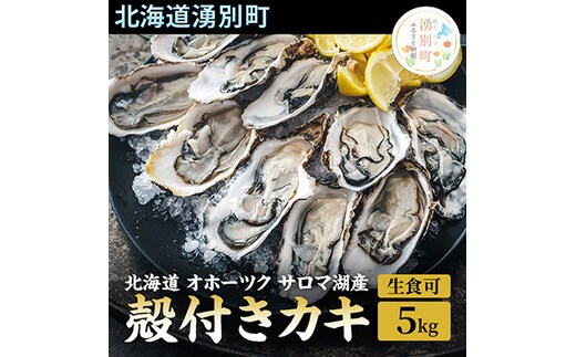 
										
										先行予約 【国内消費拡大求む】 北海道 オホーツク サロマ湖産 殻付き カキ 生食可 5kg 牡蠣職人厳選 牡蠣 国産 貝付き
									