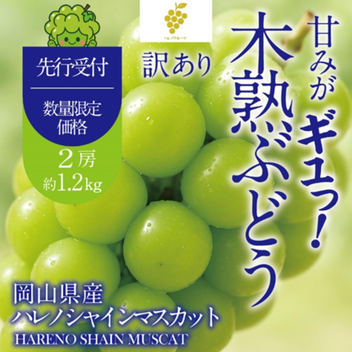 
                  【先行予約】【訳あり】木熟ぶどう ハレノシャイン シャインマスカット 2房 約1.2㎏ 10月～11月発送 | 岡山県産 皮ごと食べる みずみずしい 甘い フレッシュ 晴れの国 おかやま 家庭用 訳あり 訳アリ ハレノフルーツ
                