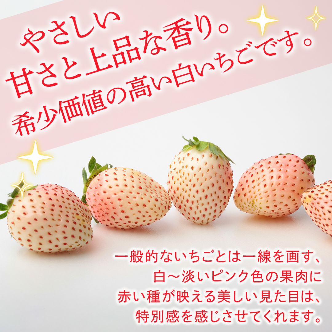 【定期便】白いちご 約200g×2パック 3ヶ月連続お届け便【2027