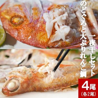 ふるさと納税 大田市 のどぐろ(アカムツ)(2尾)と大ぶりれんこ鯛(2尾)の一夜干セット(A195)