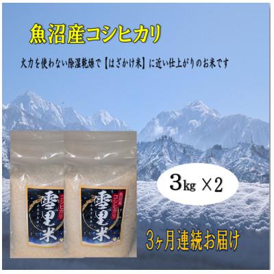 ふるさと納税 魚沼市 【毎月定期便】生産者直送!魚沼産コシヒカリ雪里米(ふるさとまい) 精米 3kg×2袋全3回
