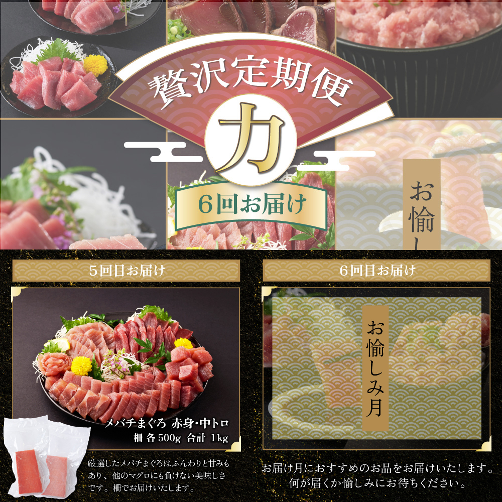 ＼贅沢定期便 ≪ 力 ≫／ 全6回【厳選 高知の海鮮セット】_イメージ4