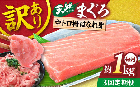 【全3回定期便】【訳あり】天然 まぐろ 中トロ はなれ身（約1kg）【横須賀商工会議所 おもてなしギフト事務局（本まぐろ直売所）】 [AKAK062]