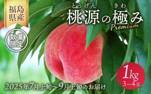 ＼レビュー投稿でお米プレゼント／◆2025年夏発送◆ 桃源の極み ～産直・桃・約1kg～　※離島への配送不可　※2025年7月上旬～9月上旬頃に順次発送予定｜先行予約 予約 桃 もも モモ 果物 くだもの フルーツ 詰め合わせ 福島 ふくしま