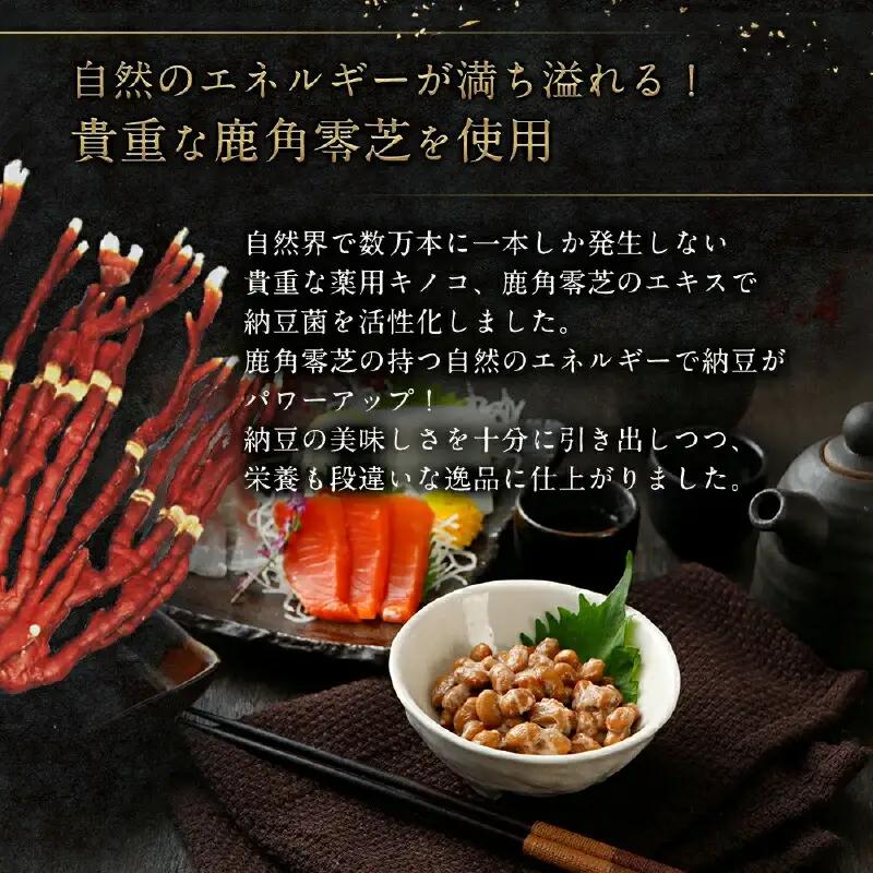 ランボッケセット（鮭節・鹿角・大粒・小粒・黒豆の5種）豆の文志郎 高級 お取り寄せ 北海道産 納豆