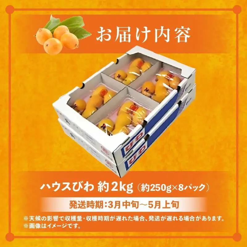 ハウスびわ 約2kg【2026年4月中旬～2026年5月上旬配送】| びわ