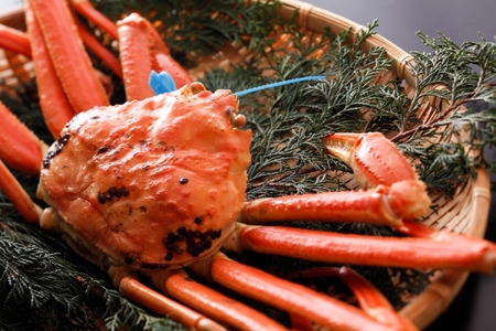 【先行予約】【kinosaki spa&gardens　湯楽使用】タグつき 釜茹で松葉ガニ　約1㎏