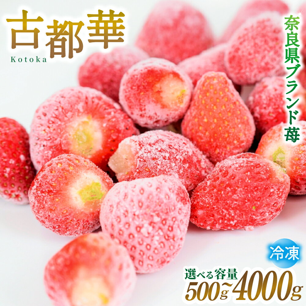 【ふるさと納税】 ブランド苺 冷凍 古都華 約500g 約1kg 約1.5kg 約2kg 約4kg【2026年5月上旬～6月下旬に順次発送】／ 若手農家 地域応援 古都華 いちご 冷凍いちご イチゴ 苺 奈良 奈良県産いちご 葛城市 産直 高級 甘い 限定 果物 旬 スイーツ ギフト 人気 ランキング 1位