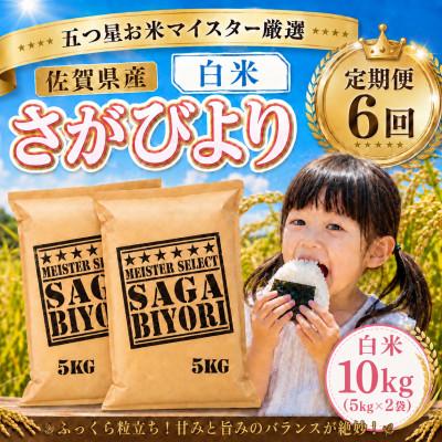ふるさと納税 大町町 【毎月定期便】『さがびより』白米10kg(5kg×2袋)(大町町)全6回