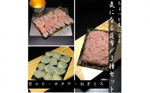 ちょっと気になる昆布〆3種セット 高岡市 魚介[№5616-1596]