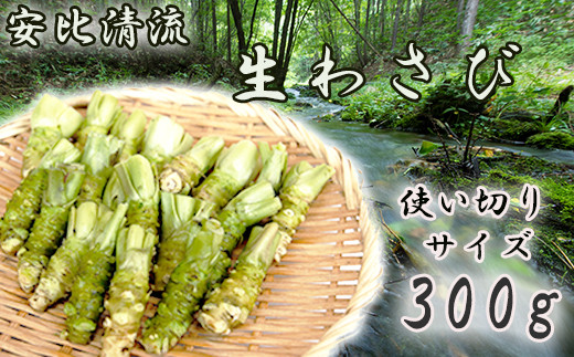 
生わさび使い切りサイズ 300g 【安比清流山葵園】 ／ 山葵 ワサビ 薬味 新鮮 産地直送
