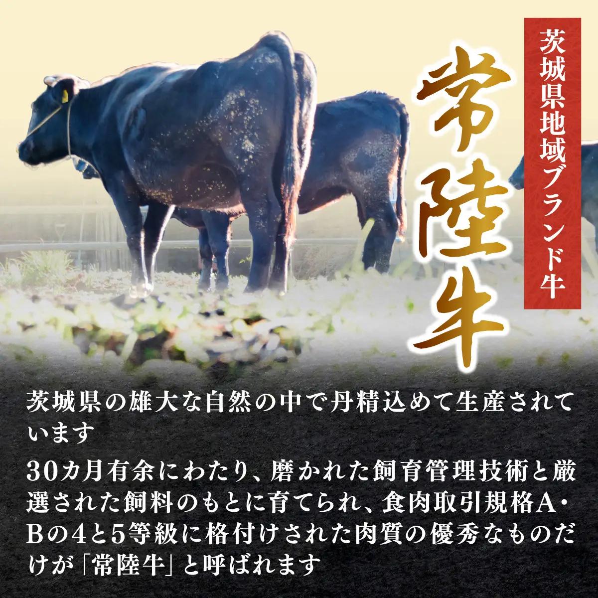常陸牛「ハンバーグ150g×4個」&「メンチカツ80g×4個 | 肉 ハンバーグ 牛肉   惣菜・加工品