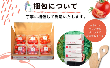 先行予約 ミニトマト TYレッドオーレ 900g(150g×6) 冬トマト 福島県 田村市