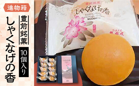 【進物箱】しゃくなげの香 10個入り[VBU004] ギフト 贈り物 和菓子