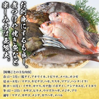 ふるさと納税 阿久根市 旬の天然鮮魚BOX(3〜5kg)　さるがく水産　a-20-29 |  | 02