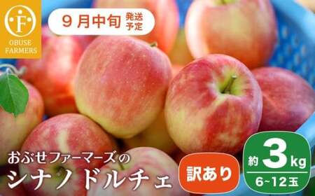 【訳あり】シナノドルチェ 約3kg 6～12玉 ［ おぶせファーマーズ ］ 数量限定 期間限定 果物類 林檎 りんご リンゴ 規格外 不揃い フルーツ 長野県産 信州産 令和8年産 【2026年9月中旬～下旬発送】 ［FH-56］