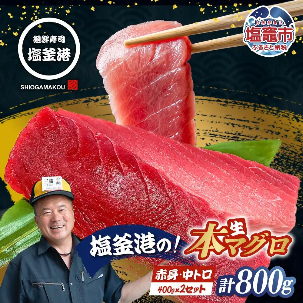 【まぐろ】中トロ 赤身 マグロ 800g