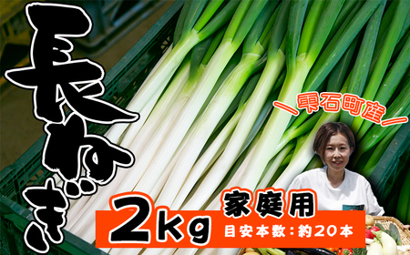岩手県産 極楽野 長ねぎ 2kg 以上 目安本数約 20本 家庭用 【高橋農園】／ 長ネギ 長葱 ねぎ ネギ 葱 白ねぎ 白ネギ 白葱 新鮮 野菜 やさい 人気野菜 国産 EM栽培 産地直送 農家直送 季節限定 期間限定 人気 薬味 鍋 串焼き おすすめ