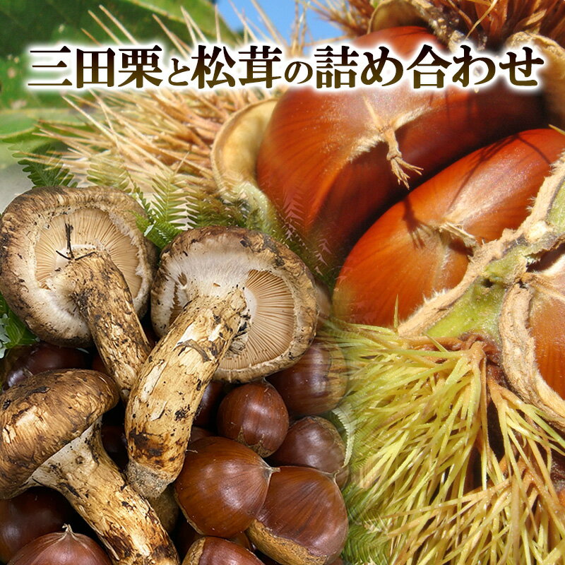 【ふるさと納税】三田栗 2L (1kg) 三田 松茸 (等級混合約200g) の詰め合わせ 栗 まつたけ 秋の味覚 きのこ キノコ 旬の野菜 贈答品 贈り物 ギフト 食品 ギフト ふるさと納税 ふるさと 人気 おすすめ 送料無料 兵庫県 三田市 [ 3d28bae460003 ]