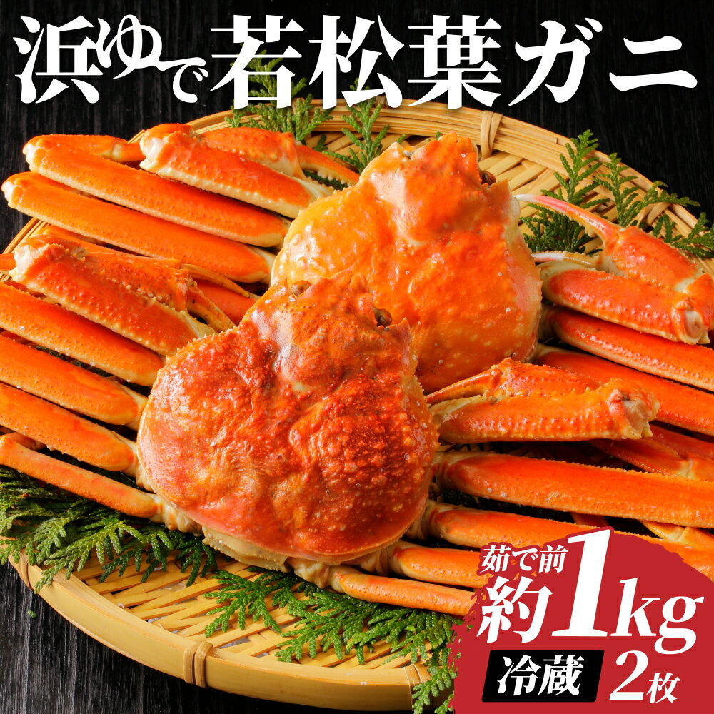 【ふるさと納税】岩美町特産 若松葉ガニ姿茹で 2枚セット ｜鳥取県 岩美町 蟹 かに カニ 松葉がに 松葉ガニ 冷蔵 送料無料【22042】