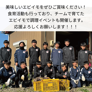  【 海老芋 】エビイモ 1.5kg 1箱 えびいも