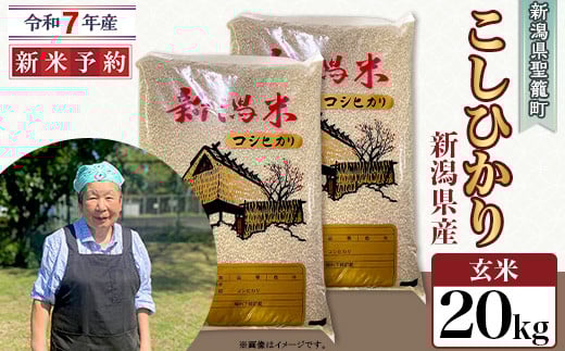 
            【玄米】新潟県産コシヒカリ20kg（特別栽培米）近藤農園
          